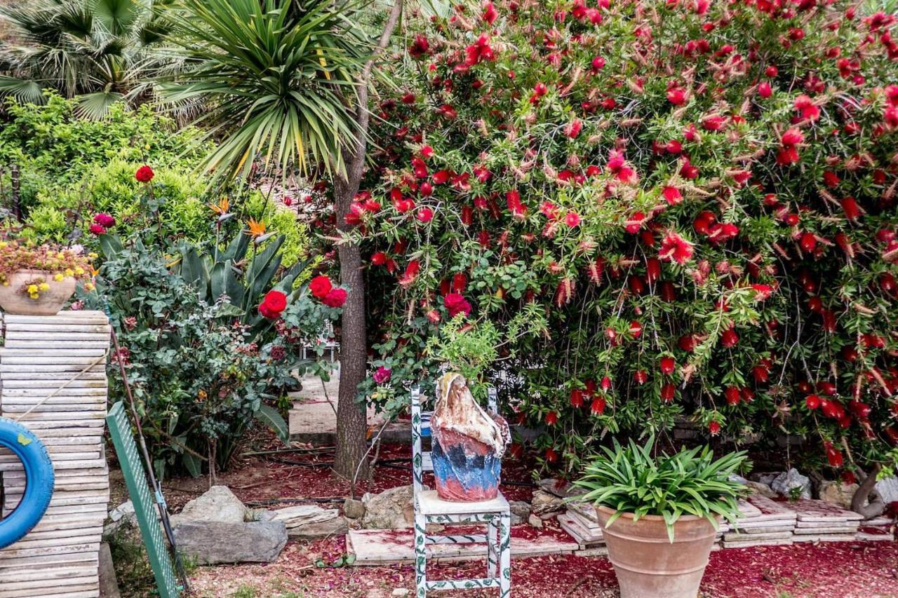 Olenia Apartment Agia Pelagia (Crete)