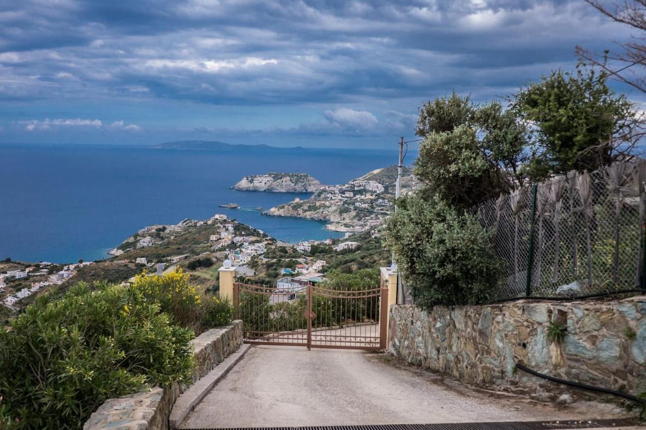 Olenia Agia Pelagia (Crete)