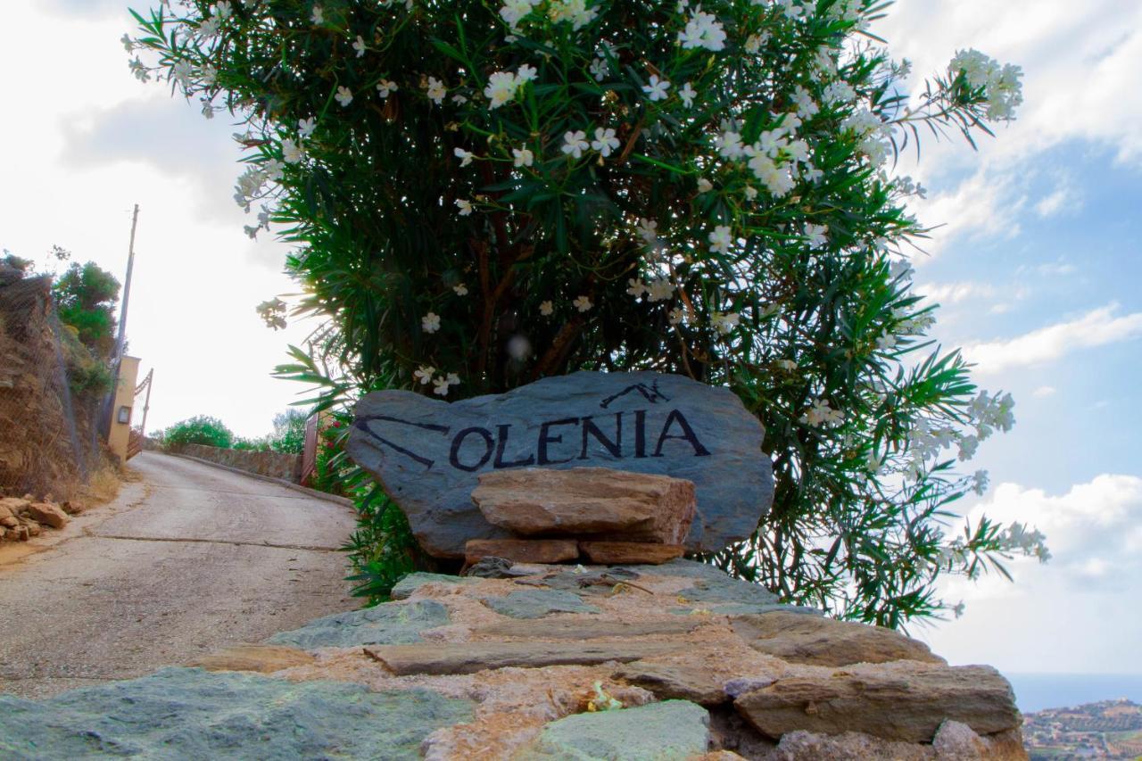 Olenia * אגיה פלגיה קיתירה