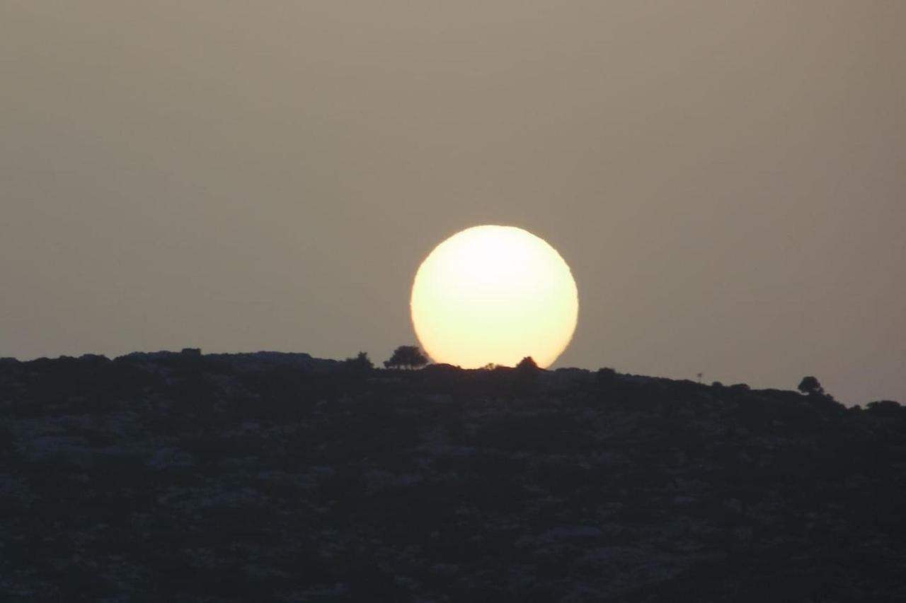 Olenia דירה