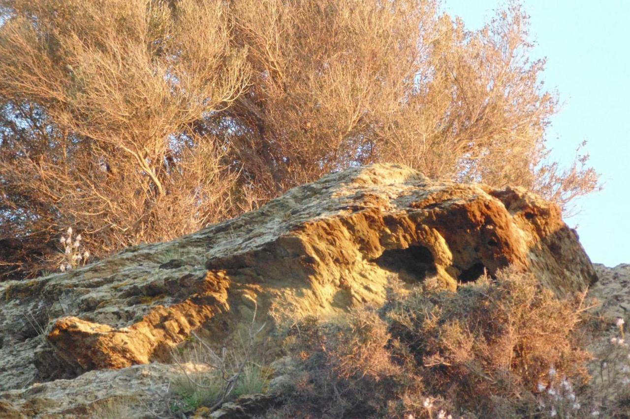 Διαμέρισμα Olenia